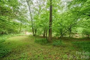 2517 Horseshoe Road, Westfield, NC 27053 - Photo 37