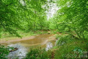2517 Horseshoe Road, Westfield, NC 27053 - Photo 35
