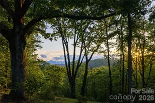 15 Hunter's Way, Asheville, NC 28804 - Photo 5