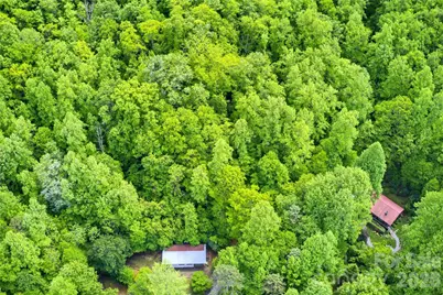 223 Little Cove Road, Sylva, NC 28779 - Photo 9