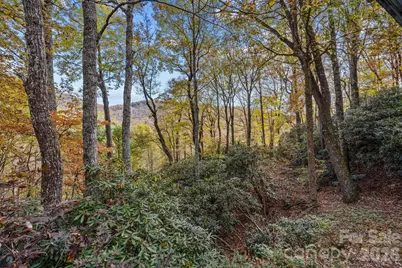 63 Chestnut Forest Road, Fairview, NC 28730 - Photo 39