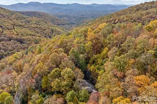 63 Chestnut Frst Rd, Fairview, NC 28730 - Photo 45