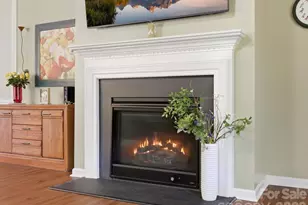 1004 Mava Ct, Indian Land, SC 29707 - Photo 17