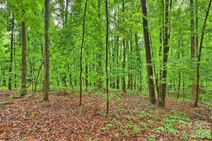 1916 Fair Forest Dr, Matthews, NC 28105 - Photo 43