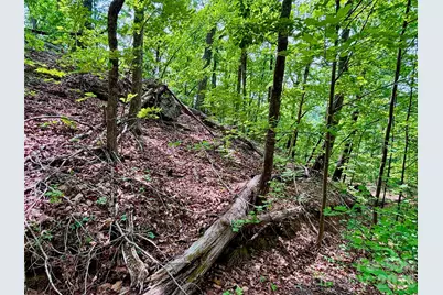 350 Springvalley Drive, Rutherfordton, NC 28139 - Photo 7