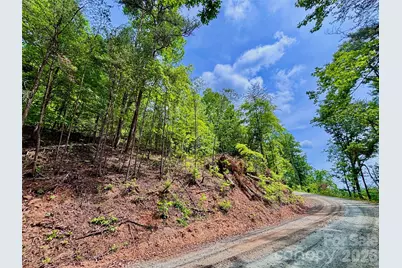 350 Springvalley Drive, Rutherfordton, NC 28139 - Photo 9