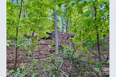 350 Springvalley Drive, Rutherfordton, NC 28139 - Photo 3