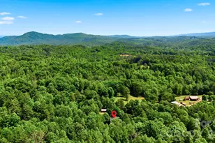3497 Blue Creek Rd, Lenoir, NC 28645 - Photo 43