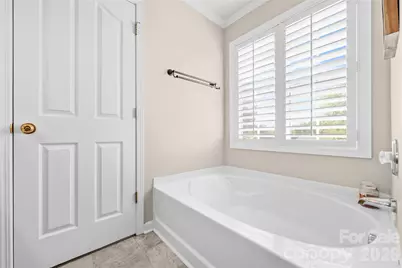 11229 Palomar Mountain Drive, Charlotte, NC 28278 - Photo 11