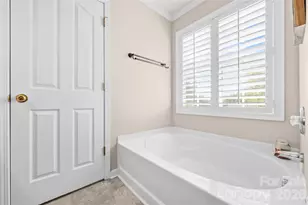11229 Palomar Mountain Dr, Charlotte, NC 28278 - Photo 11