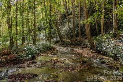 195 Still Waters Lane, Brevard, NC 28712 - Photo 23