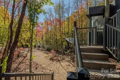 195 Still Waters Lane, Brevard, NC 28712 - Photo 7