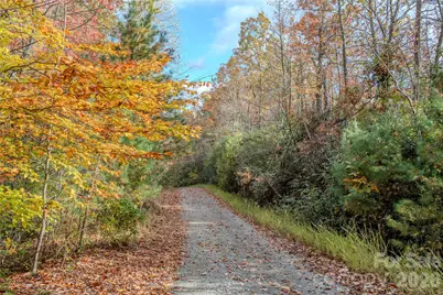 195 Still Waters Lane, Brevard, NC 28712 - Photo 47