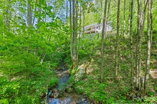 114 Cool Water Trl, Sylva, NC 28779 - Photo 11