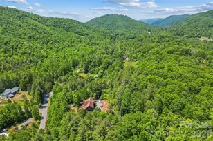 482 Gap Creek Rd, Zirconia, NC 28790 - Photo 43