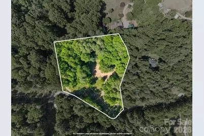 31 White Bridge Road, Weaverville, NC 28787 - Photo 1