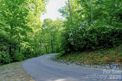 3815 Bat Cave Road, Old Fort, NC 28762 - Photo 37