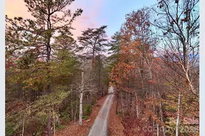 3815 Bat Cave Road, Old Fort, NC 28762 - Photo 43