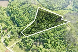 3815 Bat Cave Rd, Old Fort, NC 28762 - Photo 45