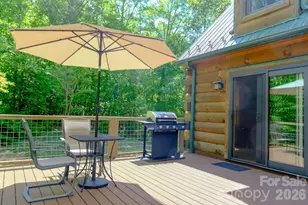 3815 Bat Cave Rd, Old Fort, NC 28762 - Photo 7