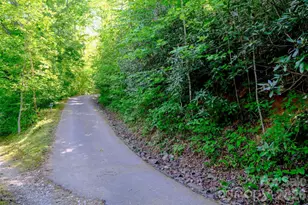 3815 Bat Cave Rd, Old Fort, NC 28762 - Photo 35
