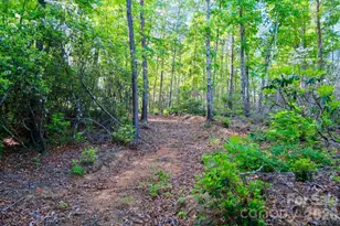 3815 Bat Cave Rd, Old Fort, NC 28762 - Photo 41