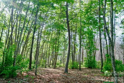 3815 Bat Cave Road, Old Fort, NC 28762 - Photo 39