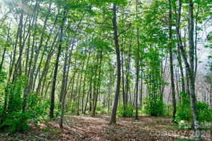 3815 Bat Cave Rd, Old Fort, NC 28762 - Photo 39