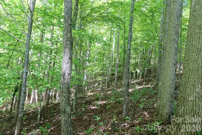 7 Hallaran Drive #PT 3, Marshall, NC 28753 - Photo 15