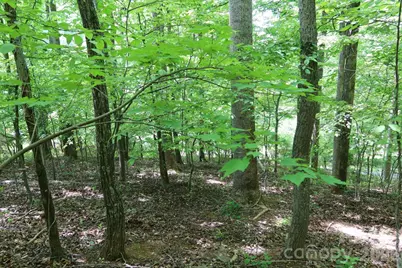 7 Hallaran Drive #PT 3, Marshall, NC 28753 - Photo 13