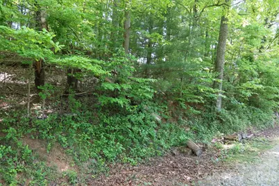7 Hallaran Drive #PT 3, Marshall, NC 28753 - Photo 5