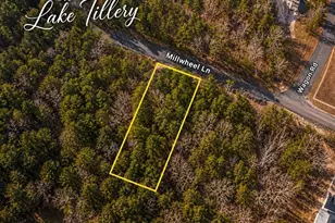 272 Millwheel Ln, Mount Gilead, NC 27306 - Photo 1