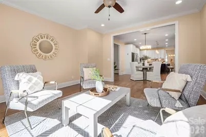 910 Abilene Lane, Fort Mill, SC 29715 - Photo 19
