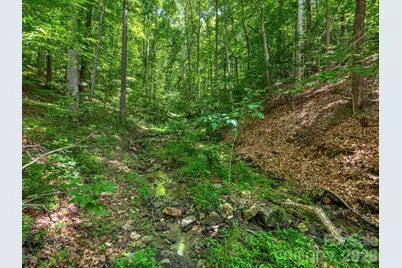 181 Harley Davidson Drive, Canton, NC 28716 - Photo 13