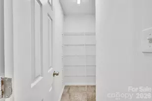 14422 Southbridge Forest Dr, Charlotte, NC 28273 - Photo 11