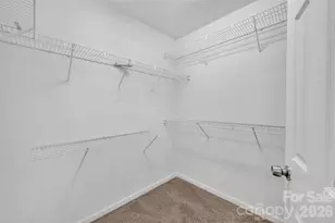 14422 Southbridge Forest Dr, Charlotte, NC 28273 - Photo 19