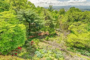 24 Westhaven Dr, Asheville, NC 28804 - Photo 41