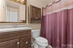 323 Burrell Mountain Rd, Brevard, NC 28712 - Photo 17