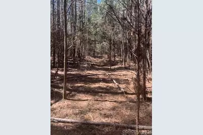 312 Pine Grove Road, Blythewood, SC 29016 - Photo 1