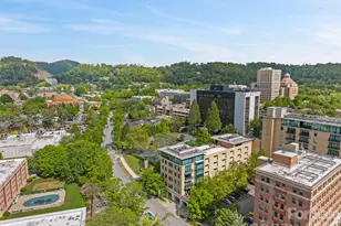 60 N Market St, Asheville, NC 28801 - Photo 47