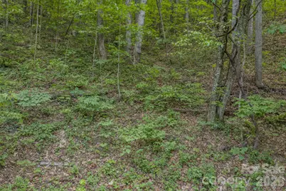 263 Mockingbird Road #2, Swannanoa, NC 28778 - Photo 15