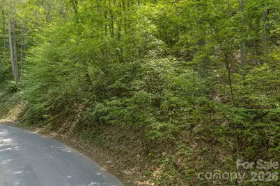 263 Mockingbird Road #2, Swannanoa, NC 28778 - Photo 17