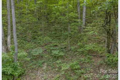 259 Mockingbird Road #1, Swannanoa, NC 28778 - Photo 19
