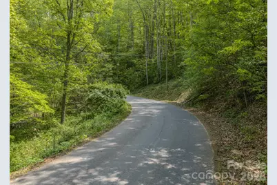 259 Mockingbird Road #1, Swannanoa, NC 28778 - Photo 23