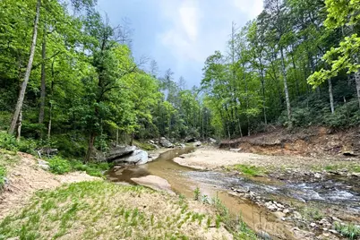 302 Rich Mountain Road, Flat Rock, NC 28731 - Photo 43