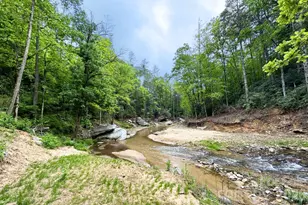 302 Rich Mountain Rd, Flat Rock, NC 28731 - Photo 43