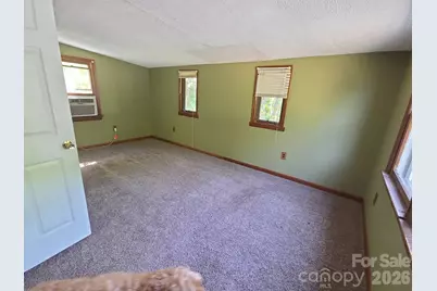 208 McKinnish Cove Road, Asheville, NC 28806 - Photo 27