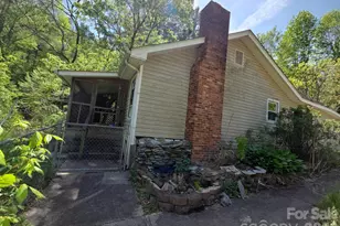 208 McKinnish Cove Rd, Asheville, NC 28806 - Photo 47