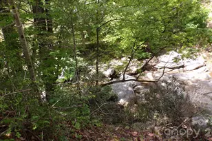 216 Paradise Rd, Hendersonville, NC 28792 - Photo 23