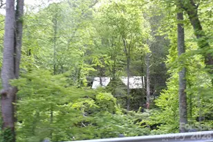 216 Paradise Rd, Hendersonville, NC 28792 - Photo 35